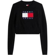 Trui Tommy Hilfiger TJW SPARKLE FLAG SWE DW0DW21690