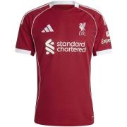 T-shirt Korte Mouw adidas Lfc H Jsy