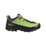 Wandelschoenen Salewa Alp Trainer 2 Gtx