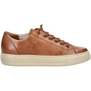 Lage Sneakers Paul Green Sneaker