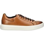 Lage Sneakers Geox Sneaker