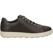 Lage Sneakers Geox Sneaker