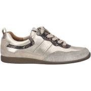 Lage Sneakers Paul Green Sneaker