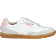 Lage Sneakers Steve Madden Sneaker