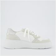 Lage Sneakers Paul Green Sneaker