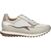 Lage Sneakers Gabor Sneaker