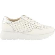 Lage Sneakers Paul Green Sneaker