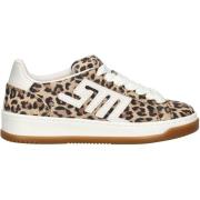 Lage Sneakers Steve Madden Sneaker