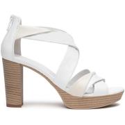 Pumps NeroGiardini Pumps