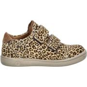 Lage Sneakers Pepino Sneaker