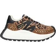 Lage Sneakers Steve Madden Sneaker