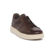 Lage Sneakers NeroGiardini NERO GIARDINI 412 DELAVATO BEIGE