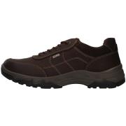 Wandelschoenen Enval 8218022
