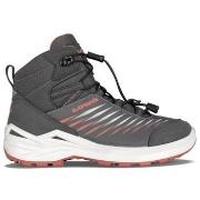 Hoge Sneakers Lowa Zirrox Ii Gtx Mid