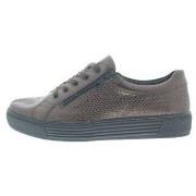 Sneakers Solidus Kendal