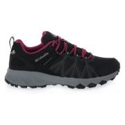 Hardloopschoenen Columbia 010 PEAKFREAK II OUTDRY