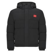 Donsjas HUGO Baro2541