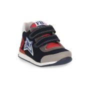 Lage Sneakers Falcotto 1B10 FERDI