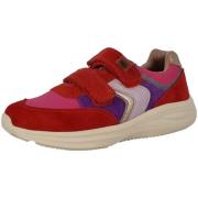 Sneakers Bisgaard -