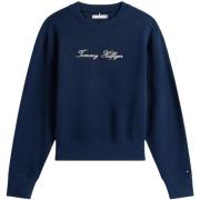 Sweater Tommy Hilfiger LUREX SCRIPT REG SWT WW0WW47159