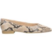 Ballerina's Paul Green Ballerina´s