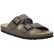 Slippers Josef Seibel -