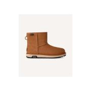 Enkellaarzen UGG Classic Mini Goretex Chestnut