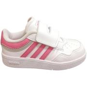 Lage Sneakers adidas hoops