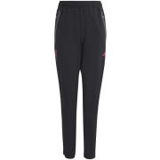 Trainingsbroek adidas Lfc C Vt P Y