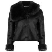 Windjack Rinascimento CFC0125123003