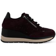 Lage Sneakers Melluso R25563-249978