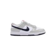 Lage Sneakers Nike Dunk Light Iron Ore