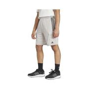 Korte Broek adidas Short Tiro Cargo gris