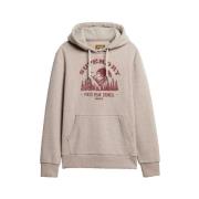 Sweater Superdry Sweat à capuche Lo-fi Outdoor Graphic