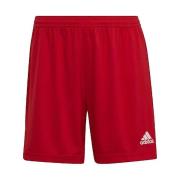 Korte Broek adidas Short Entrada 22 rouge
