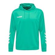 Sweater hummel Sweat à capuche Promo Poly vert