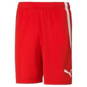 Korte Broek Puma Shorts TeamLiga Performance Rouge