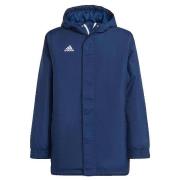 Donsjas adidas Doudoune Entrada 22 Stadium