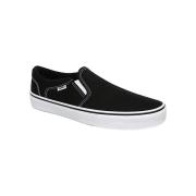 Sneakers Vans Asher Canvas
