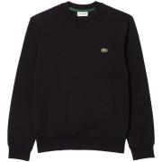 Sweater Lacoste -