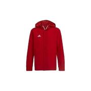 Blazer adidas Entrada 22 All-Weather