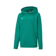 Sweater Puma Teamgoal 23 Causals Hoody