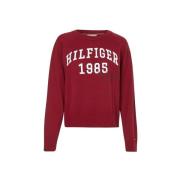 Trui Tommy Hilfiger WW0WW36700 Xjs