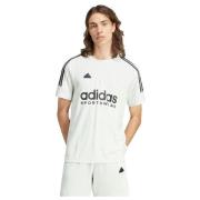 T-shirt Korte Mouw adidas T-shirt M TIRO TEE Q1 vert