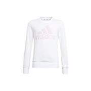 Trainingsjack adidas HE1982