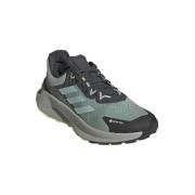 Hardloopschoenen adidas Terrex Soulstride Flow Gtx