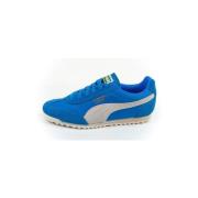 Nette Schoenen Puma 39868201