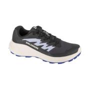 Nette Schoenen Salomon Alphaglide W