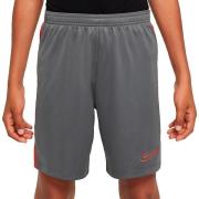 Korte Broek Nike Dri-Fit Academy