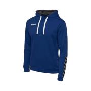 Sweater hummel Sweat à capuche Authentic Poly